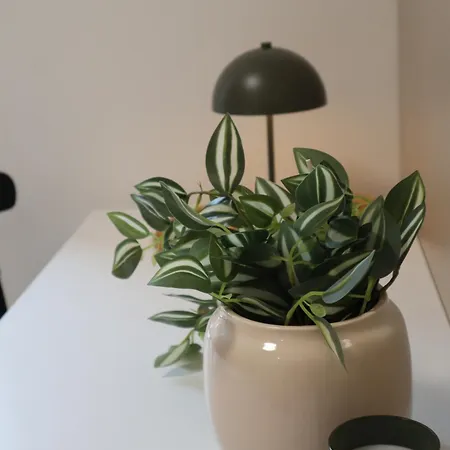 Rezidencia Pri Parku